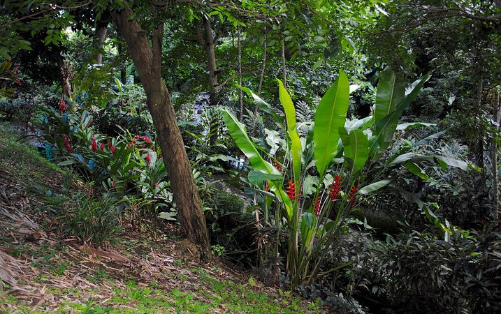 Wygody hotelowe w górach