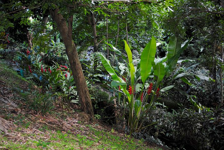 Wygody hotelowe w górach