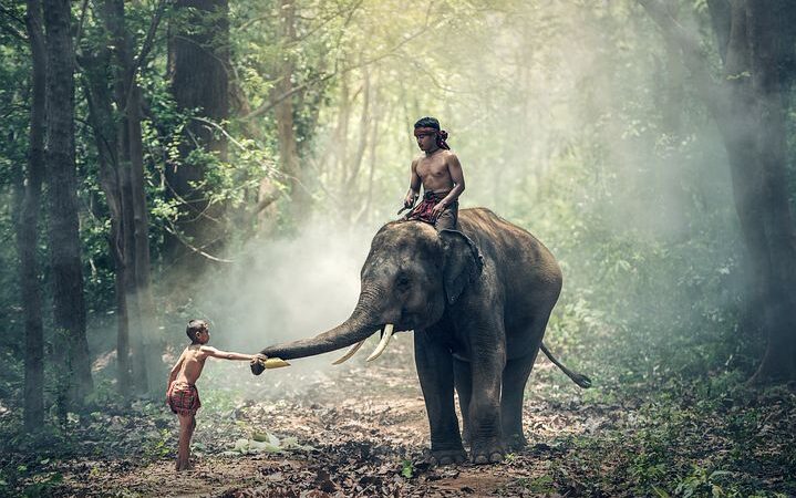 Portal, jaki reprezentuje nowoczesne nastawienie na rynku turystycznym