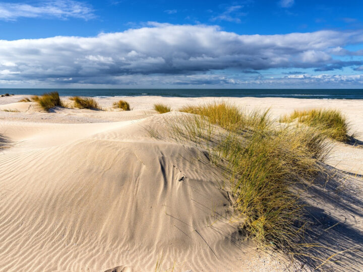 Co ciekawego może zaproponować Lubiatowo turystom