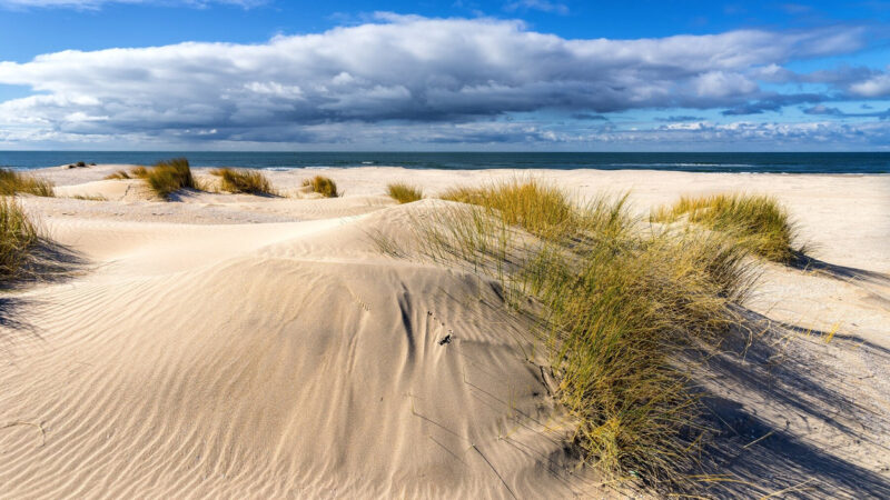 Co ciekawego może zaproponować Lubiatowo turystom